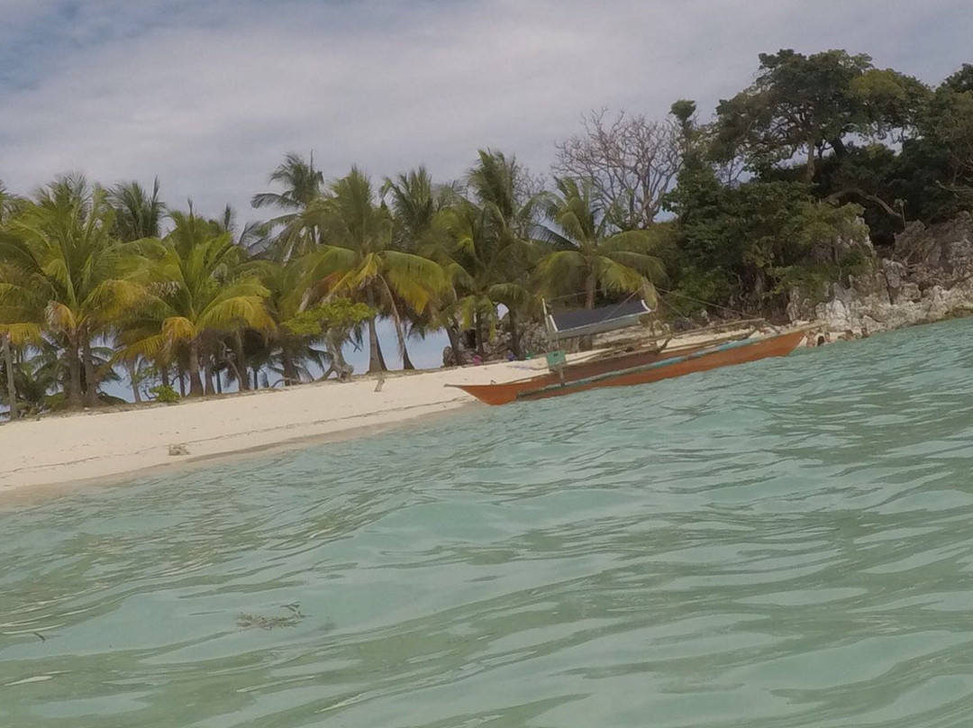 Malcapuya Island主图