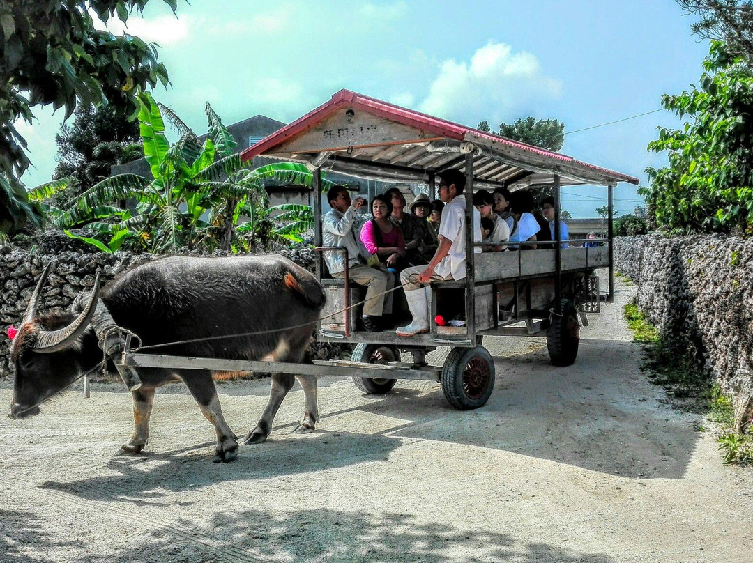 Water Buffalo Carriage Nitta Kanko-竹富町竹富岛必去景点