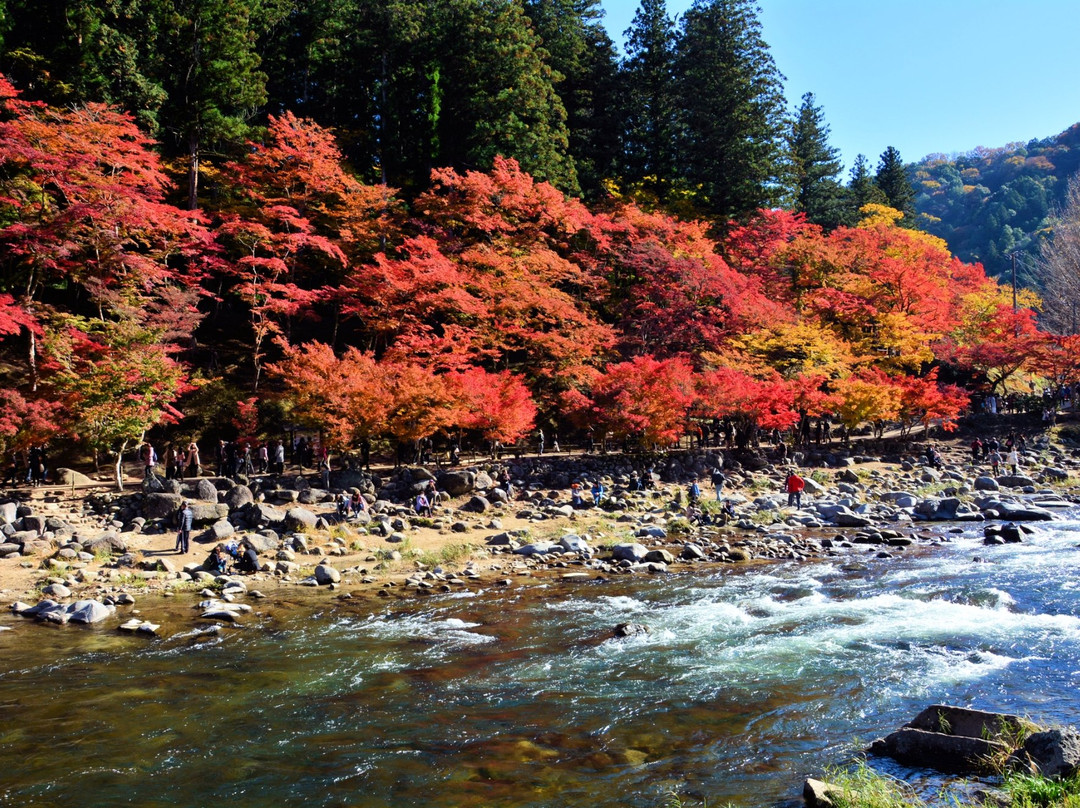 丰田市旅游景点-Koran Valley