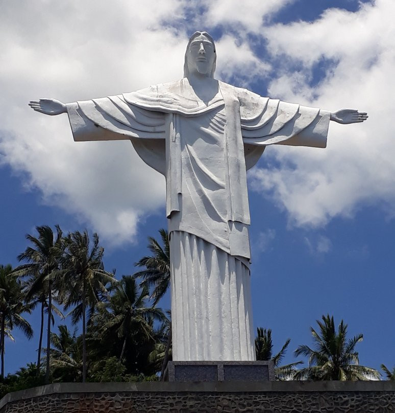 Statue of Jesus the Redeemer景点图片