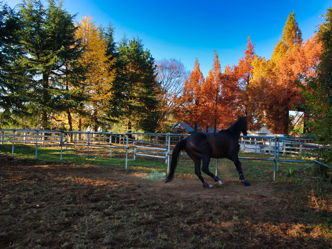 だいてばこ広場
