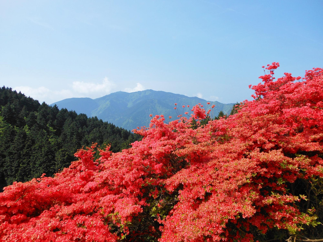 葛城市旅游攻略图片