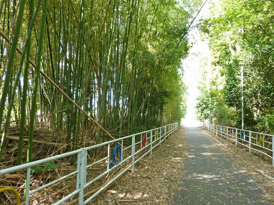 樱川市旅游攻略图片