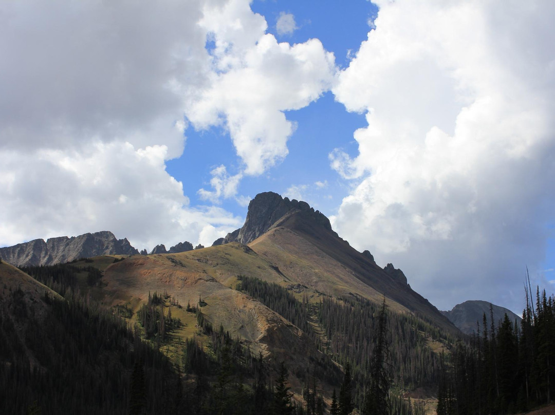 Red Feather Lakes旅游景点-Cache La Poudre Wilderness