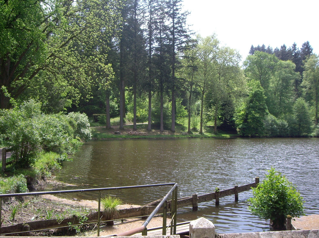 Arboretum de Pezanin景点图片