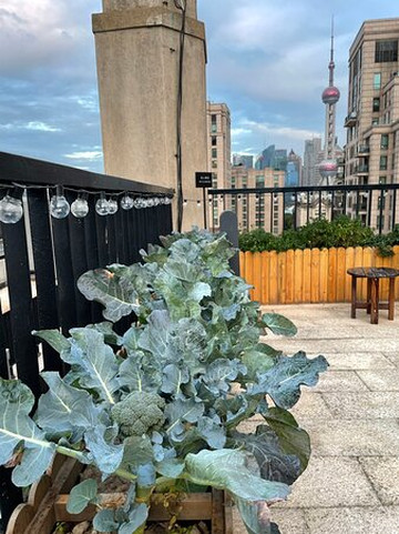 上海外滩美术馆-上海市必去景点