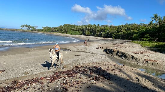 Ollie's Adventures-圣特雷莎必去景点