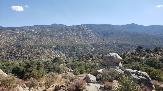 Palms to Pines Scenic Byway-棕榈沙漠必去景点