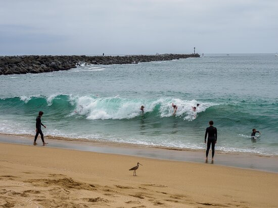 The Wedge-纽波特海滩必去景点