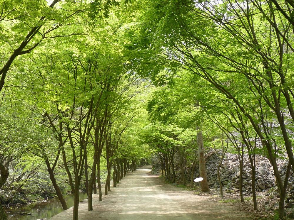 淳昌郡旅游景点-Gangcheonsan County Park