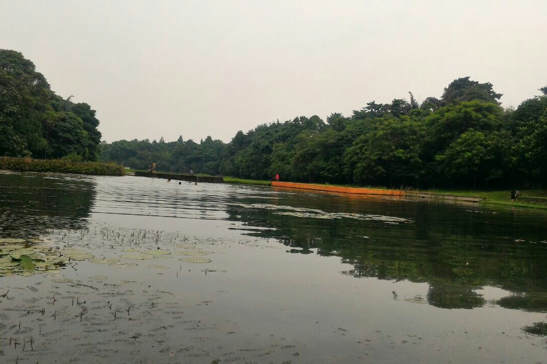 Lake Dora-Cibinong必去景点
