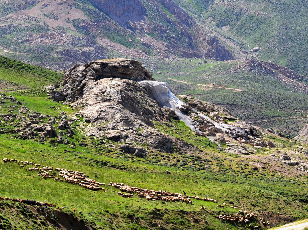 Lar National Park景点图片