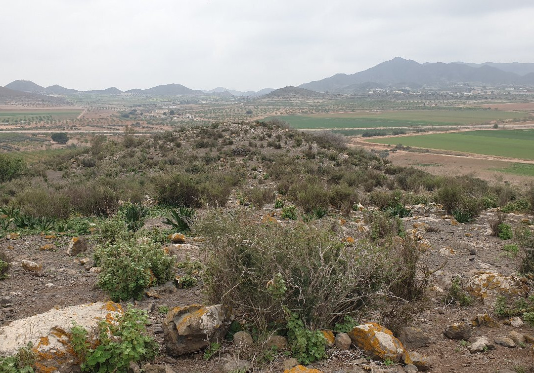 Pico Cebolla-Las Palas必去景点