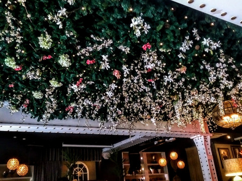 Tiger Hornsby-纽卡斯尔必去景点