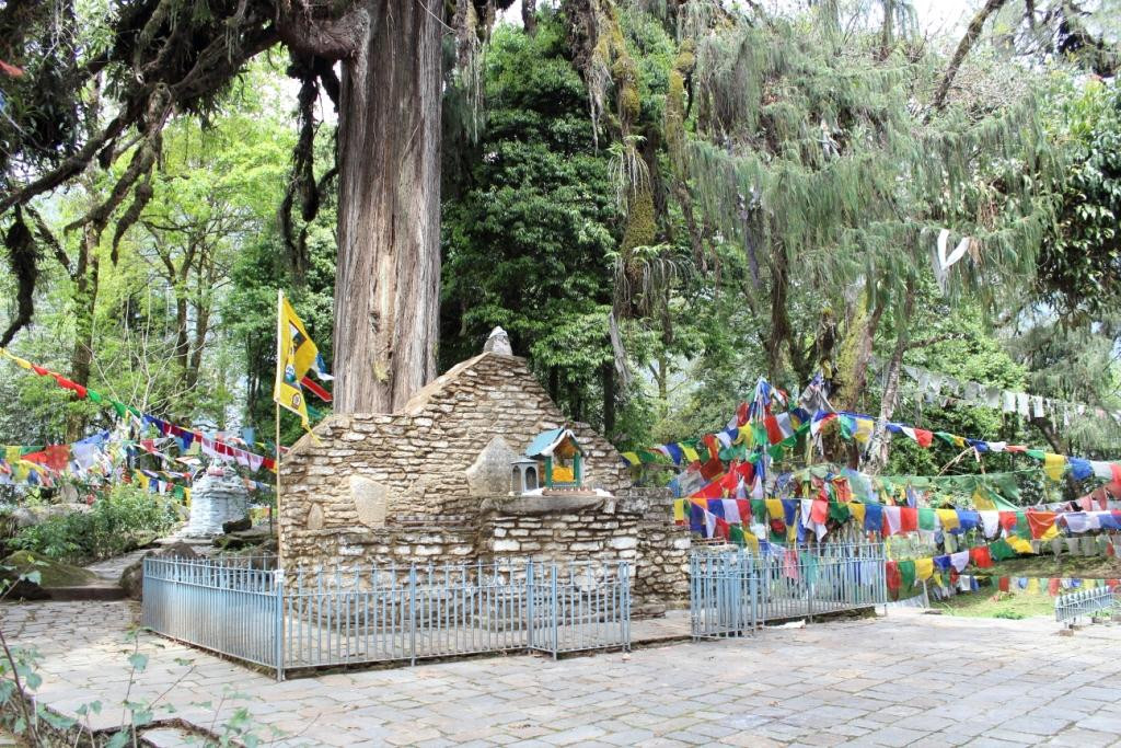 Yuksom旅游景点-Coronation Throne Of Norbugang