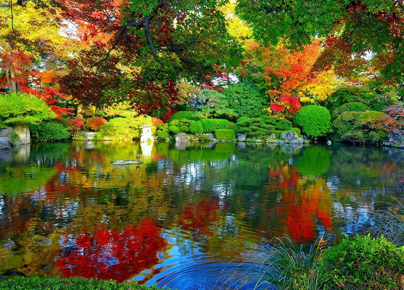 Momiji Park景点图片