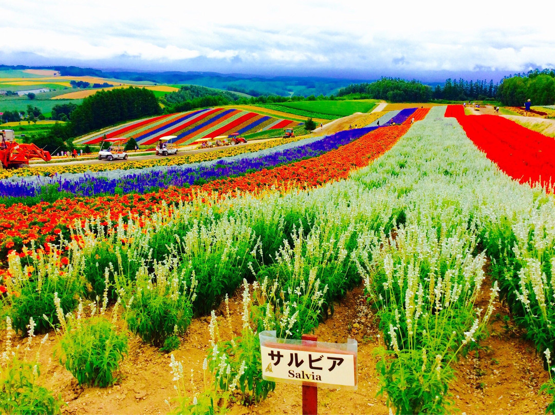 上川郡旅游攻略图片