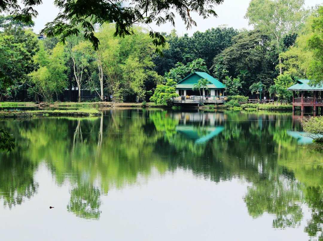 Ninoy Aquino Parks and Wildlife Center景点图片