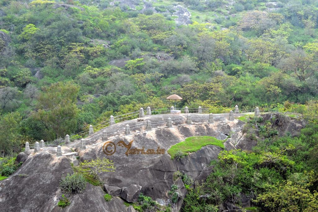 Mount Abu Wildlife Sanctuary景点图片