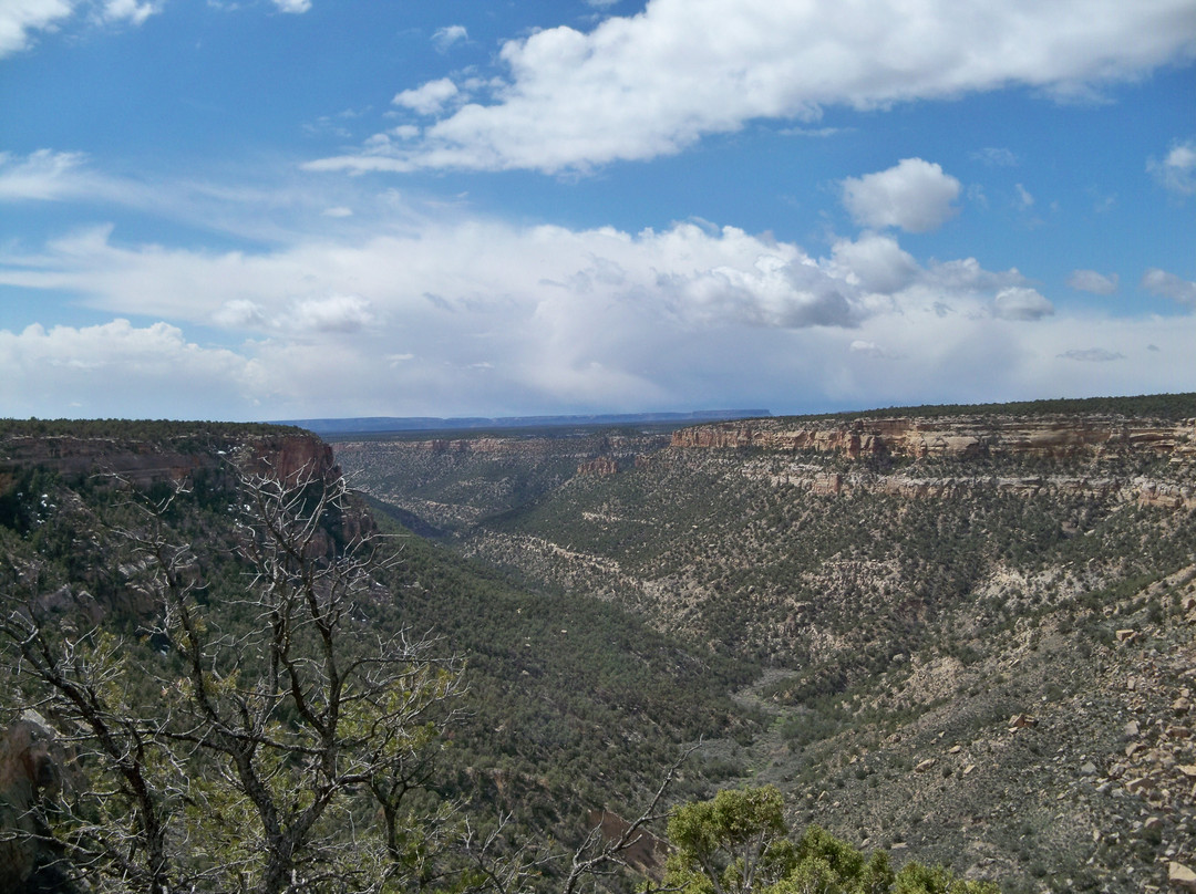 Mesa Verde National Park景点图片