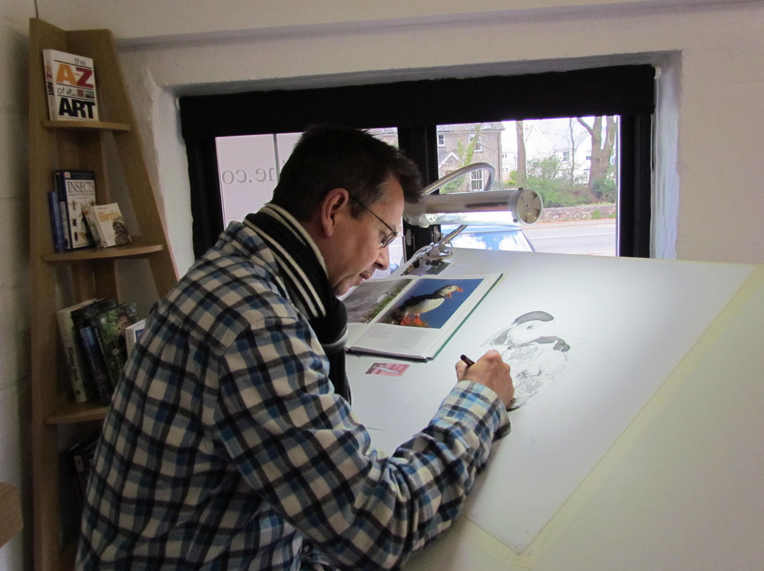 Jon Tremaine, Wildlife Artist Studio景点图片