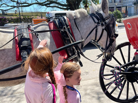 Royal Carriages-新奥尔良必去景点