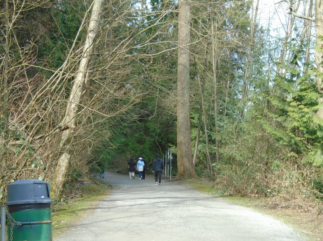 Central Park-本那比必去景点