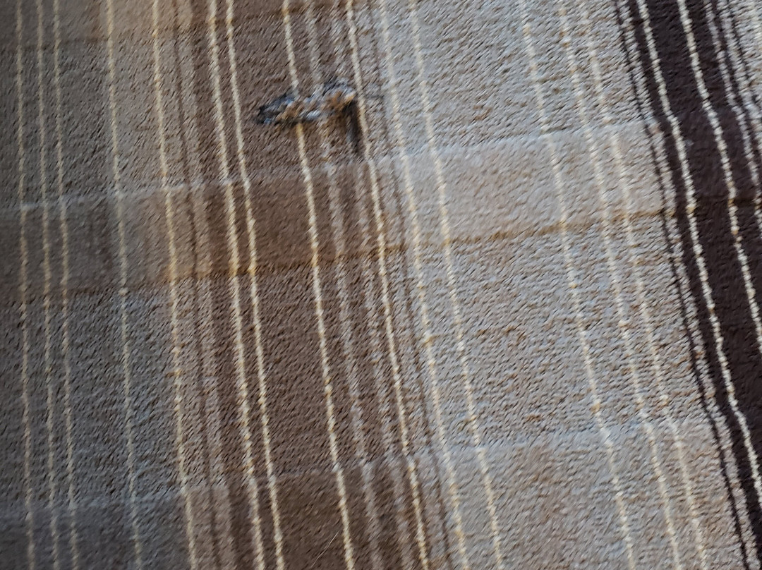 Holiday Inn Express & Suites Emporia Northwest By IHG主图