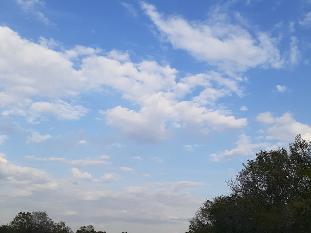 Se7en Wetlands-莱克兰必去景点