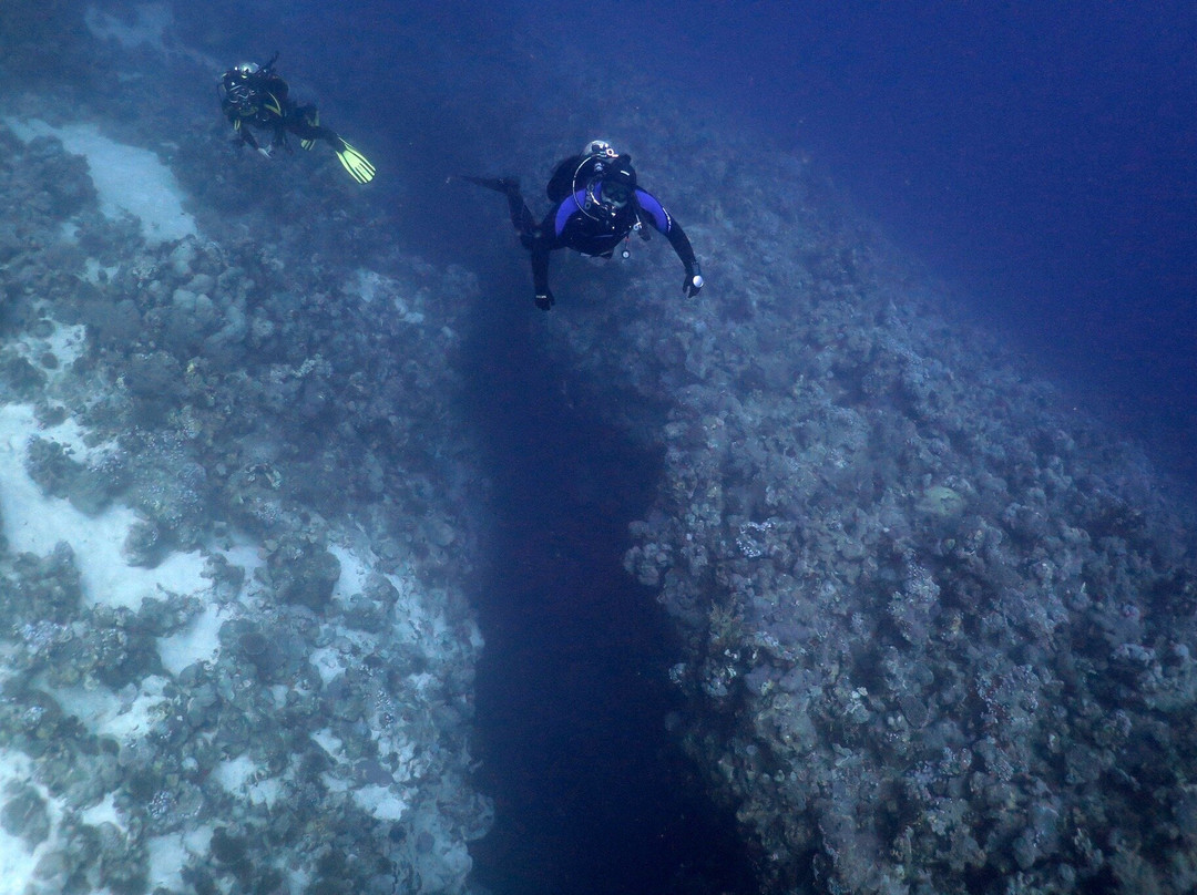 Easy Divers-沙姆沙伊赫必去景点