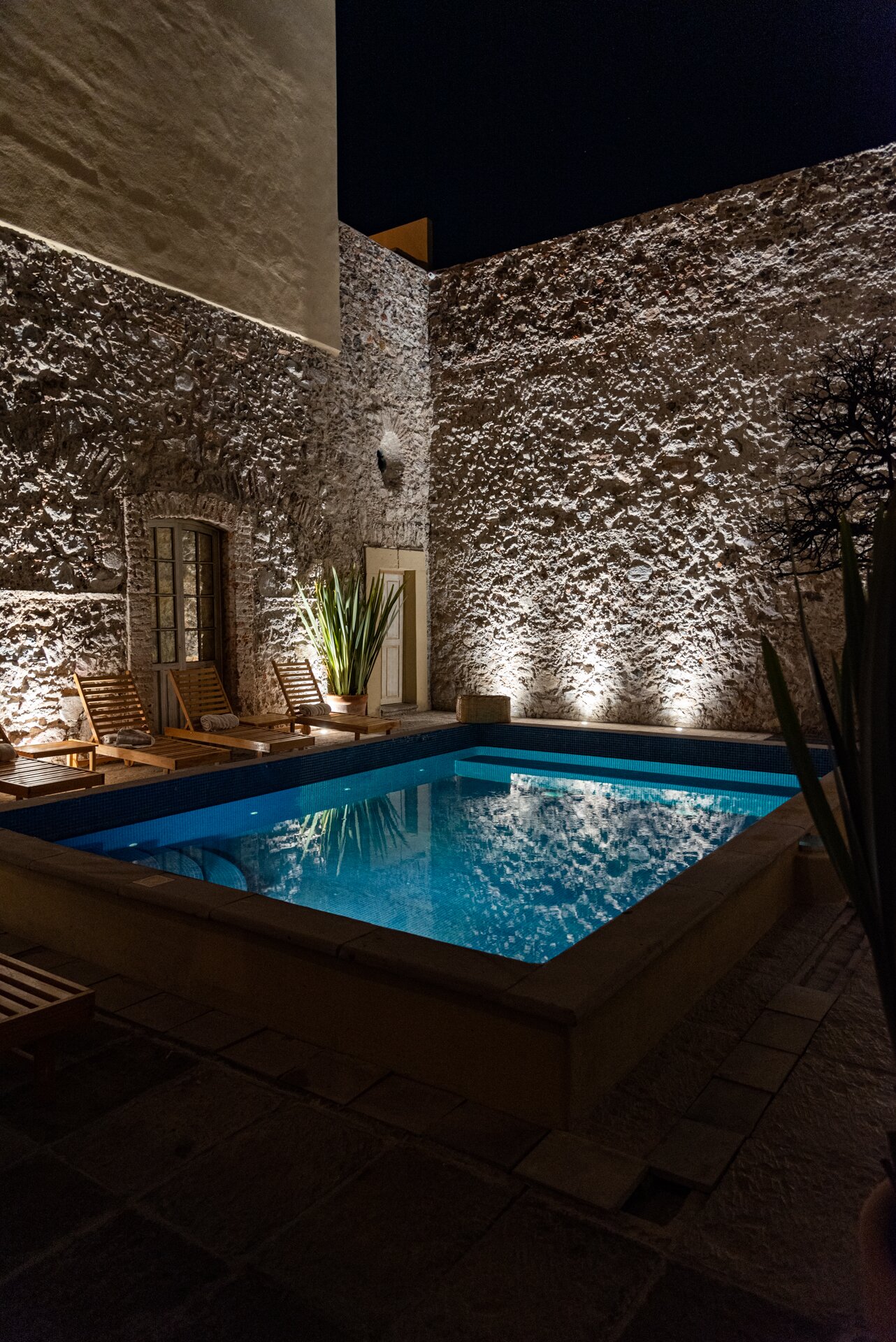 Hotel Boutique Nena-泳池