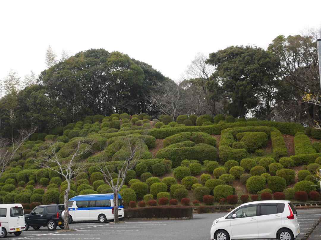 Amagi Park景点图片