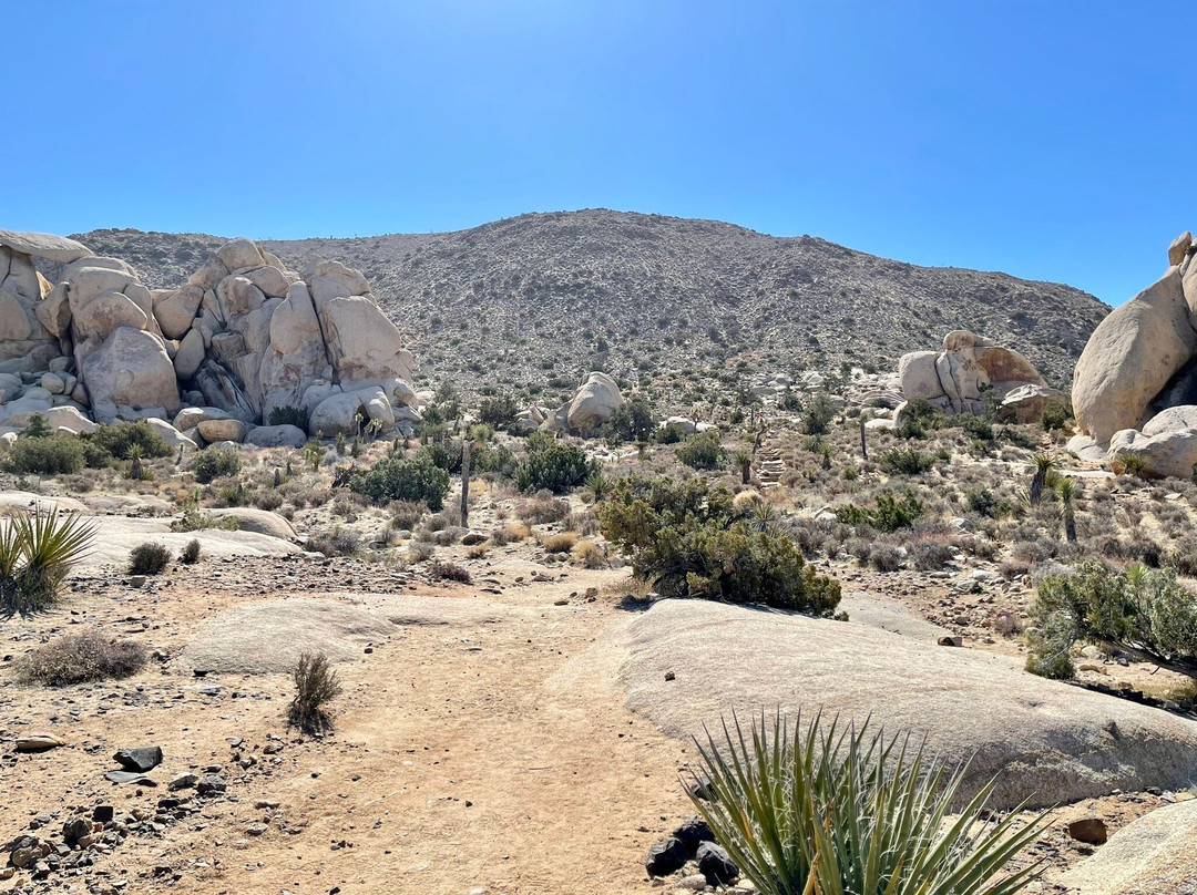 Ryan Mountain-约书亚树国家公园必去景点