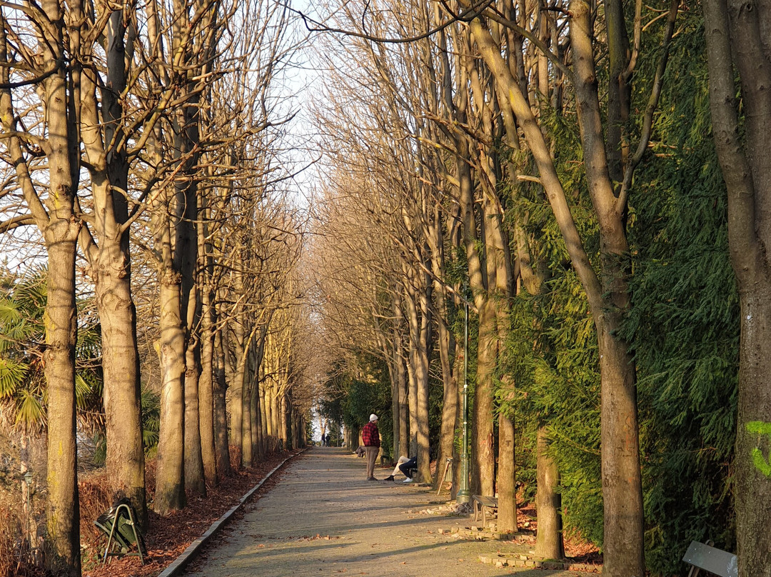 Parco Pubblico Villa Genero-都灵必去景点