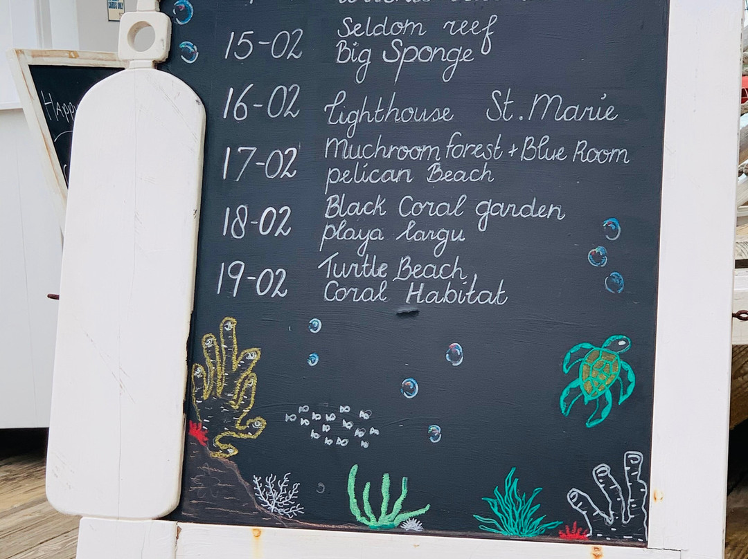 Coral Divers-威廉斯塔德必去景点