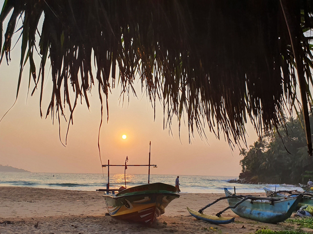 Talalla Sunshine Beach主图