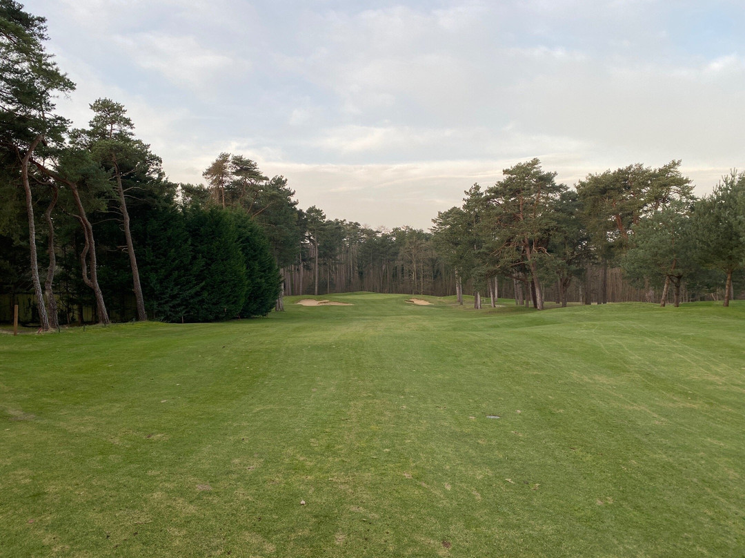 Golf d'Hardelot景点图片