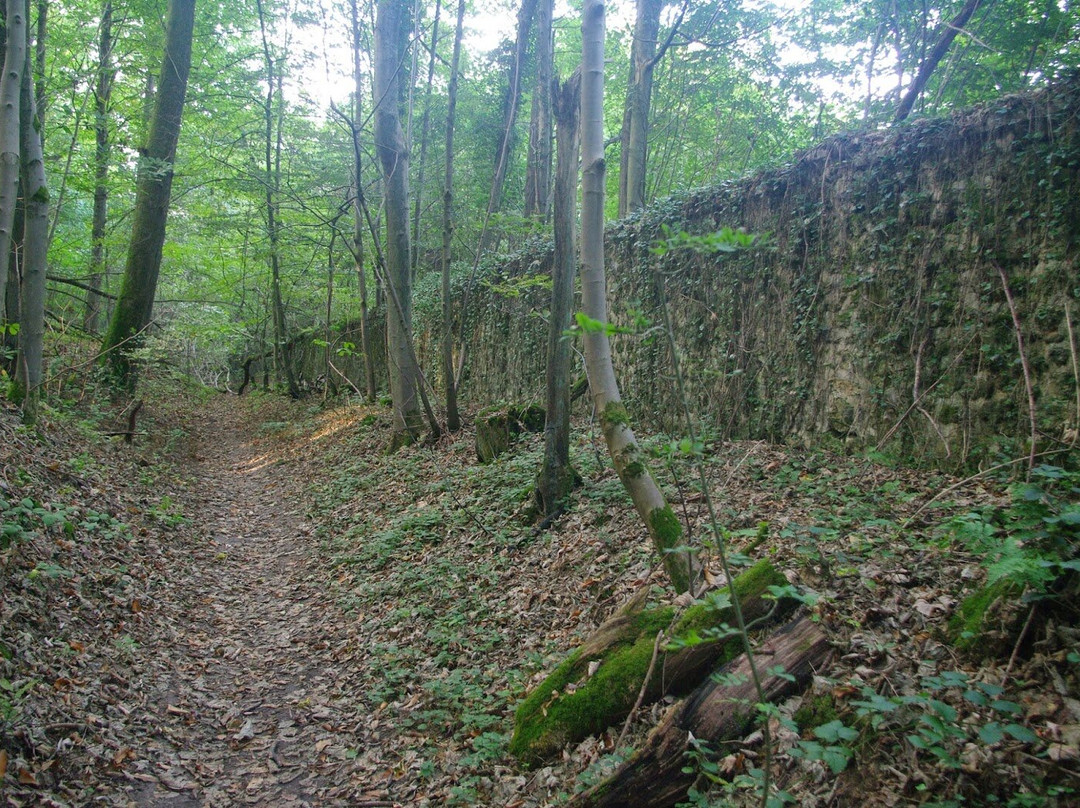 Explor' Vaugien景点图片