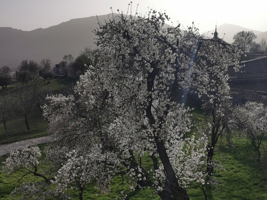Jardín de los Frailes景点图片