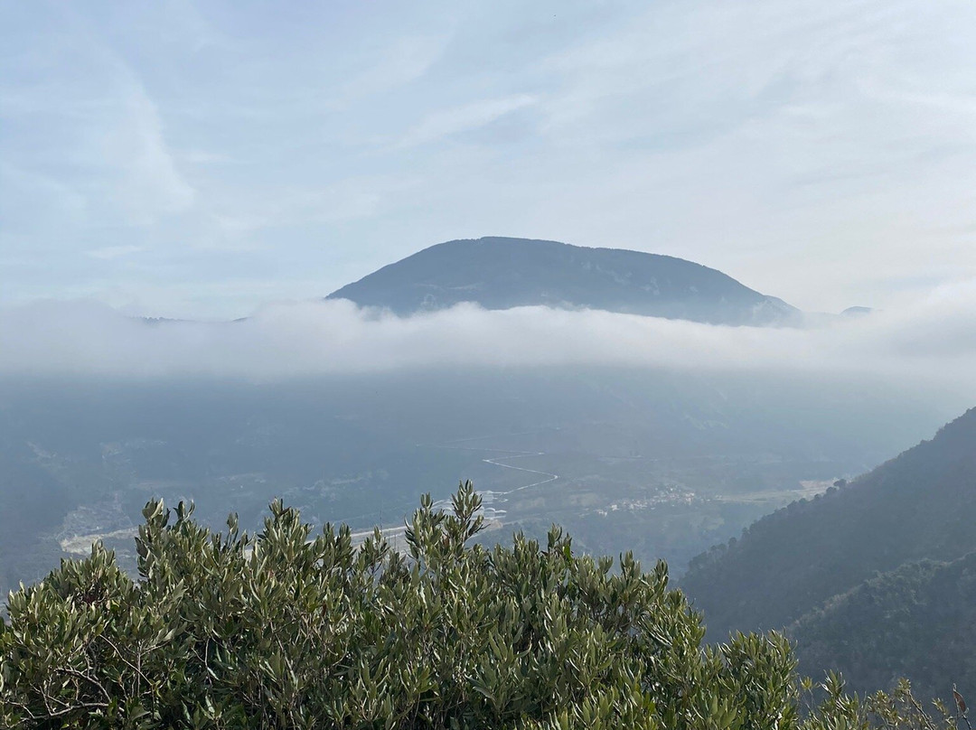 Parco Naturale Regionale della Gola della Rossa e di Frasassi景点图片