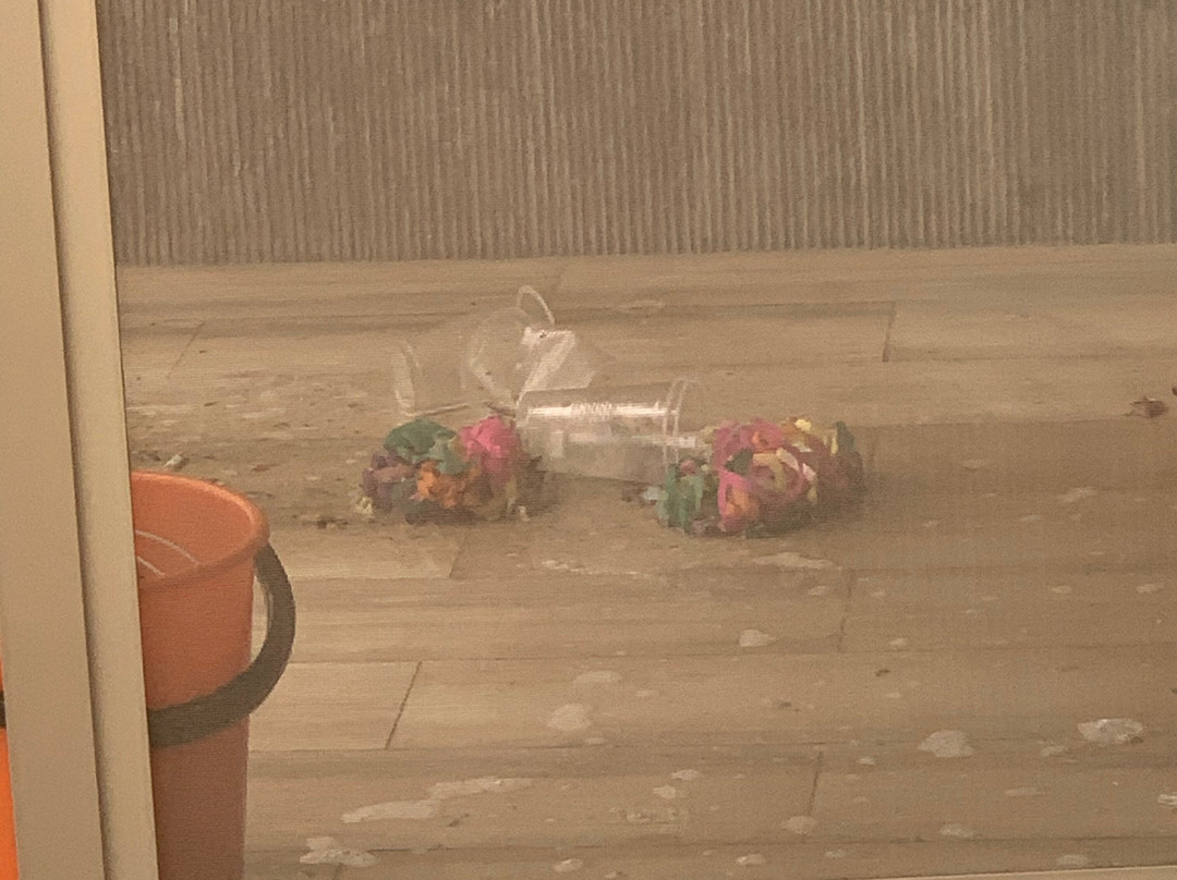 雷吉纳会议中心度假酒店主图