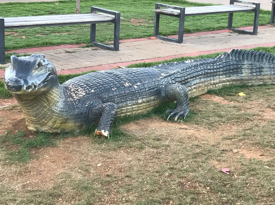 Parque Das Águas Seo Fiote景点图片