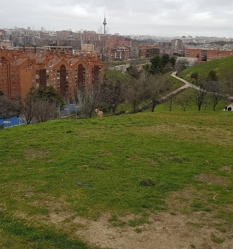 Cerro del Tio Pio景点图片