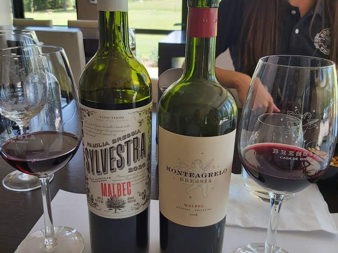 Bodega Bressia-阿格雷洛必去景点