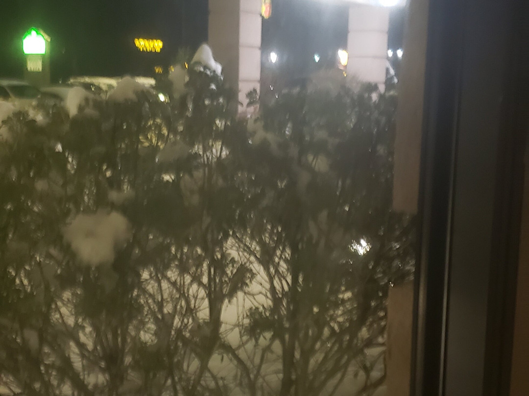 Wingate by Wyndham Lexington主图