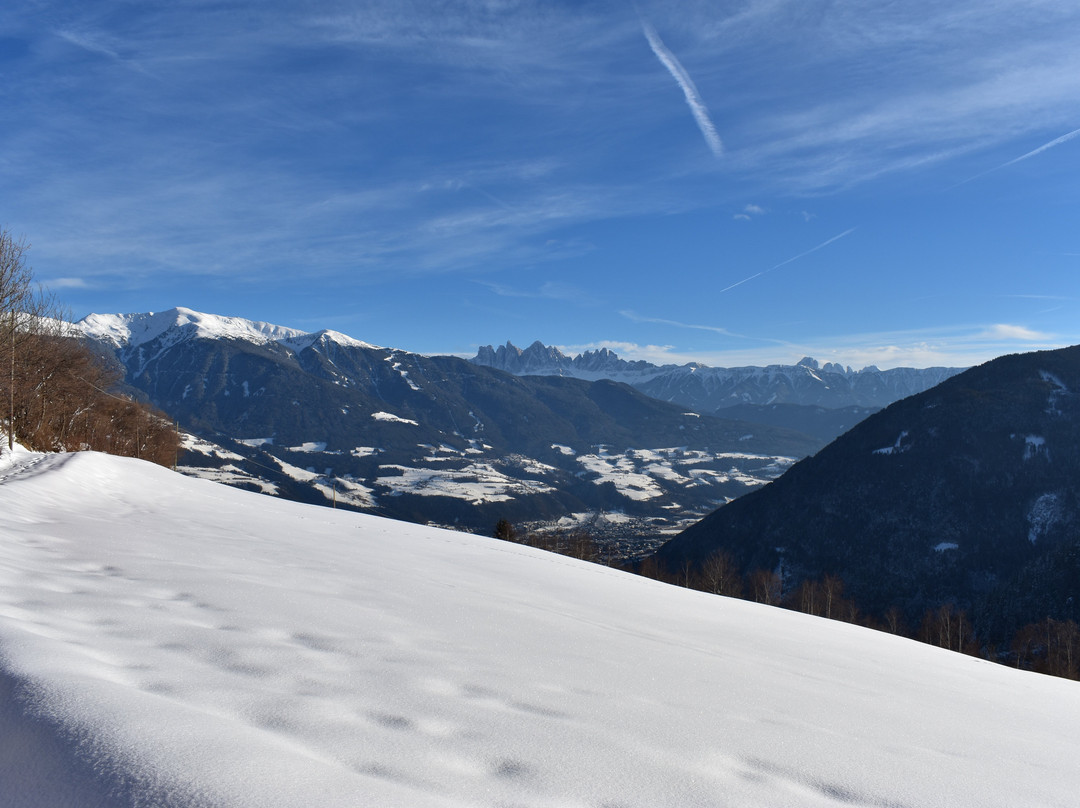 Gasthof Hanserhof主图