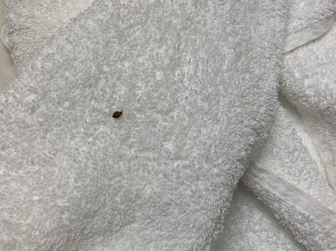 Sleep Inn Fayetteville I-95主图