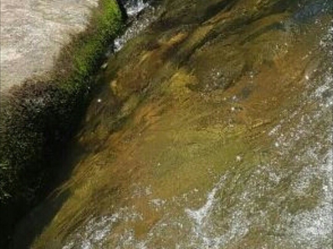 Portaria Poço das Antas - Mongaguá-Mongagua必去景点