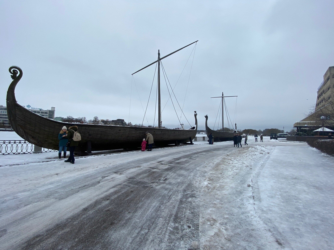 Viking Ship景点图片