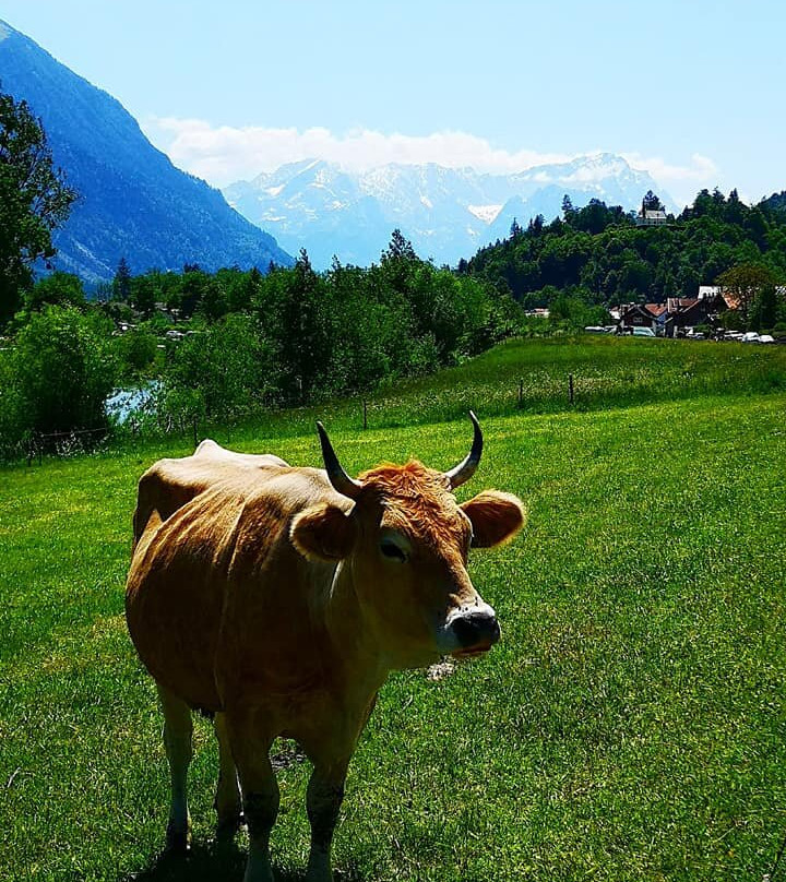 Hotel & Gasthof Kirchmayer主图